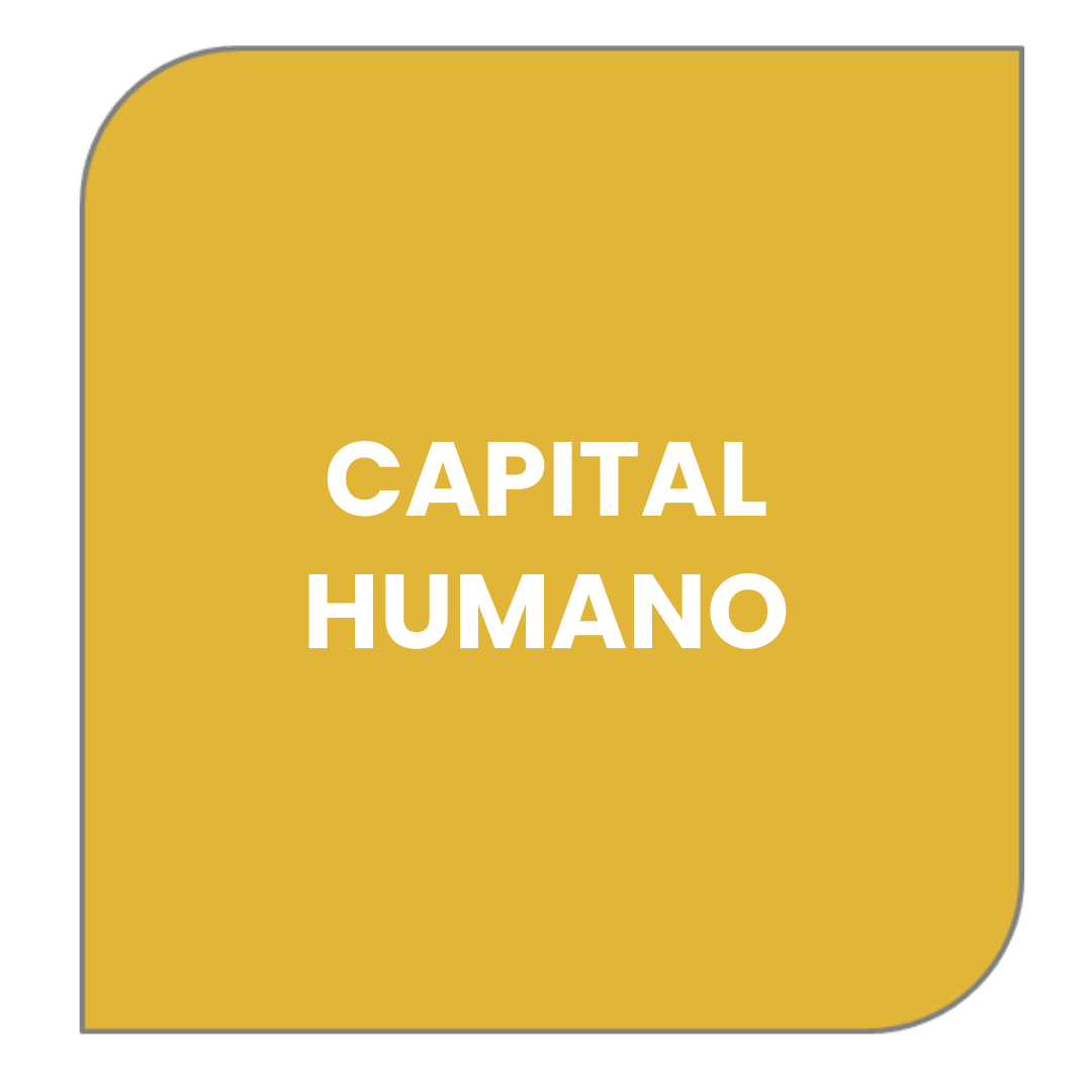 ÁREA 7. RRHH CAPITAL HUMANO (2)