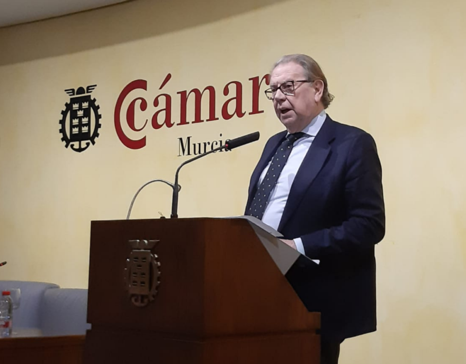Jornada Coordinación Social y Sanitaria Murcia - Alberto Giménez Presidente FES